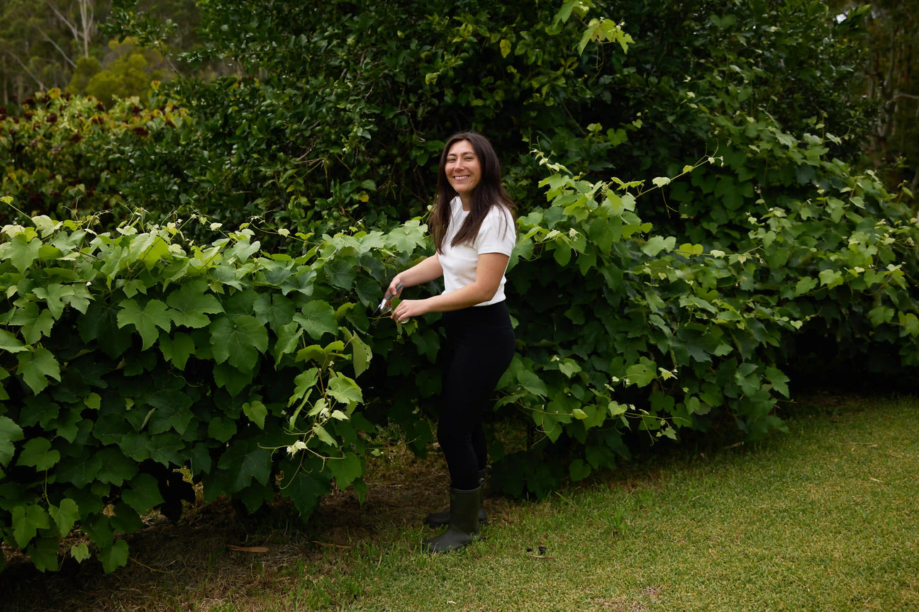 Woman standing in a garden surrounded by green plants